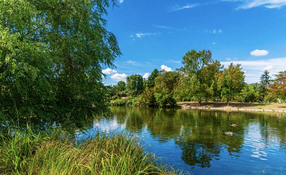巴黎恐怖袭击幸存者,巴黎恐怖袭击感人事件