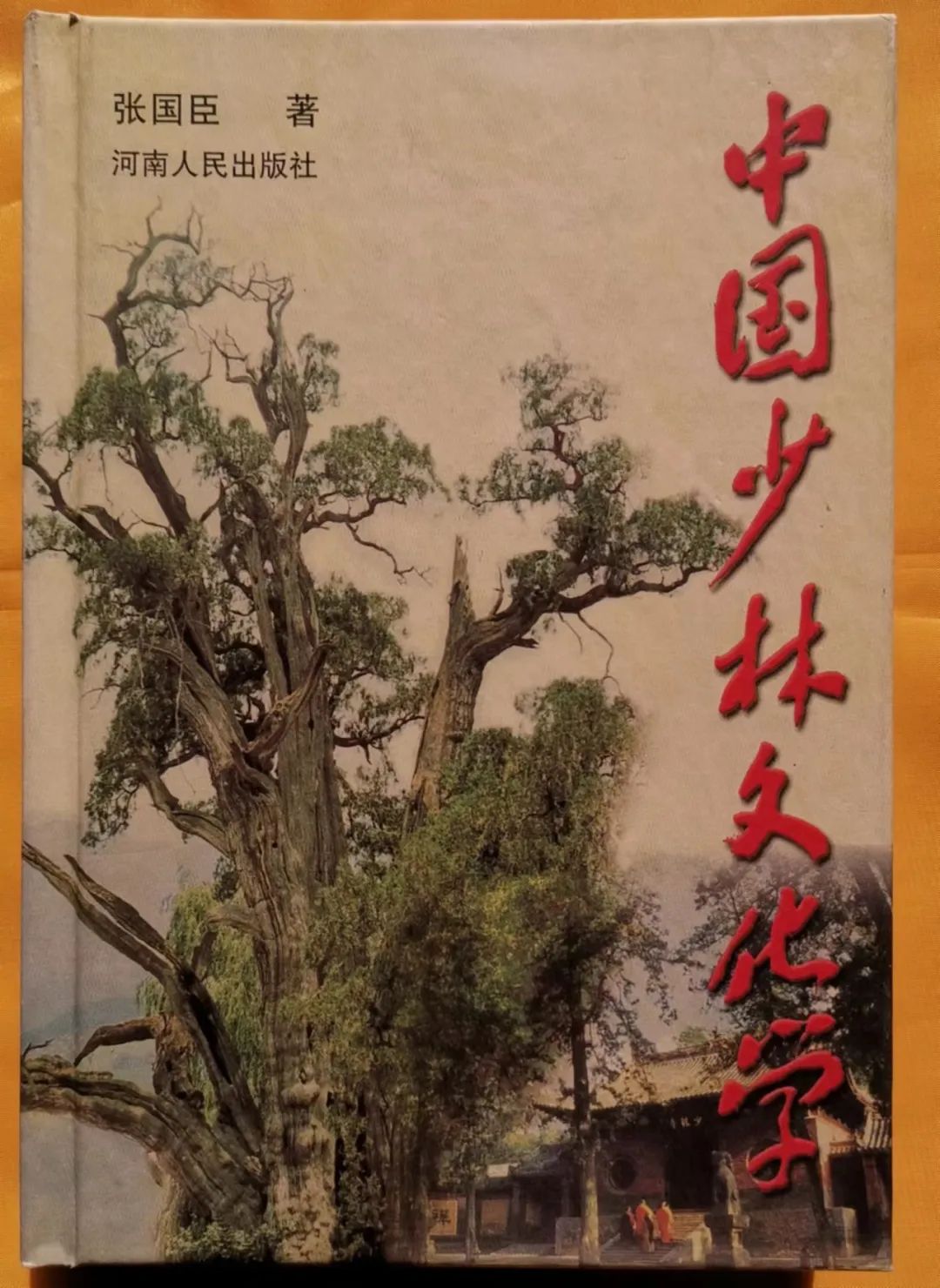 河南工学院张国臣,张国臣的圆梦与启航