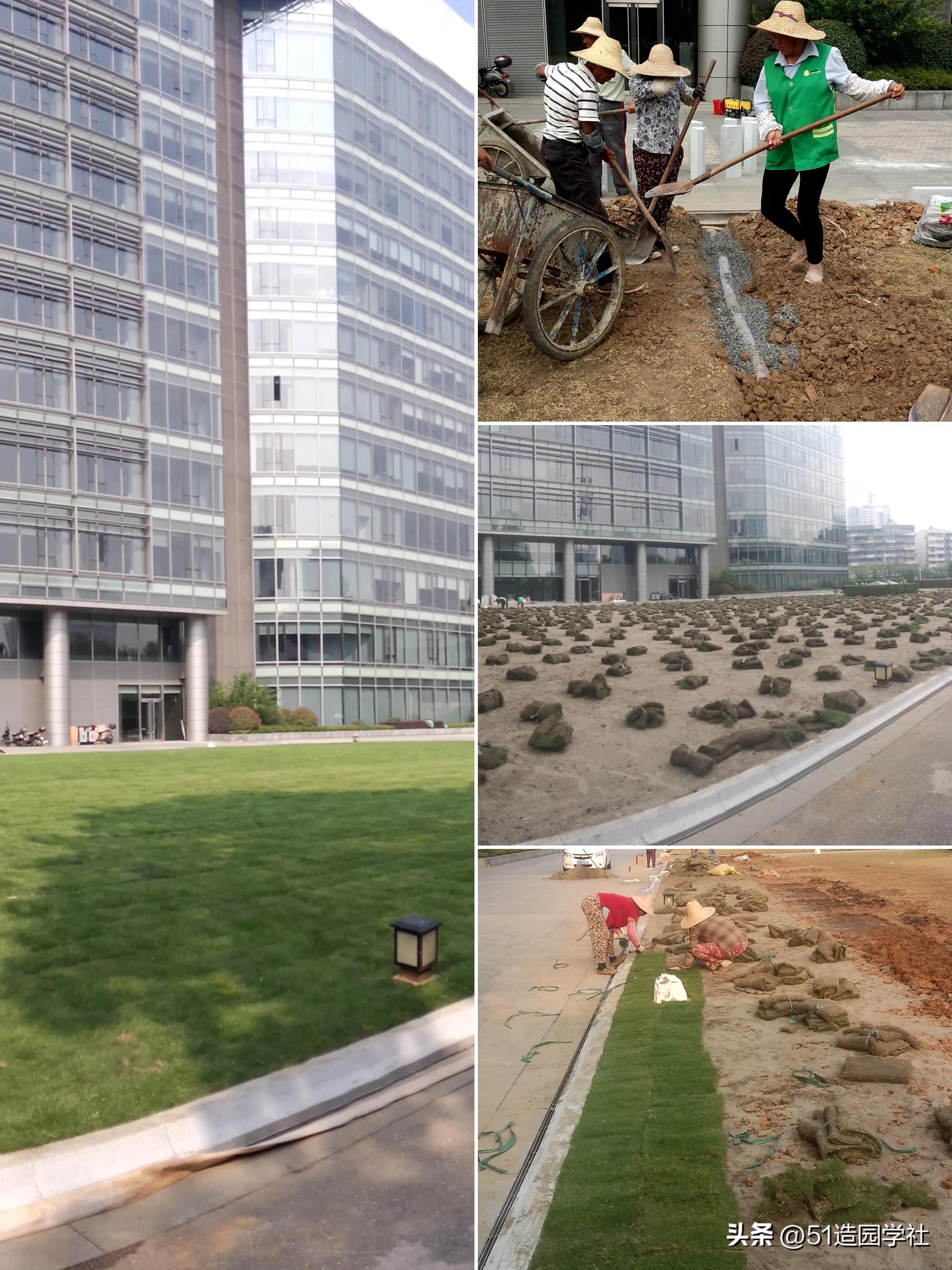 花园草坪排水的最佳方法,庭院草坪排水怎么处理