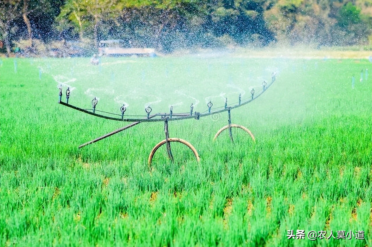 想流转土地要怎么找地,想承包农民土地有什么办法