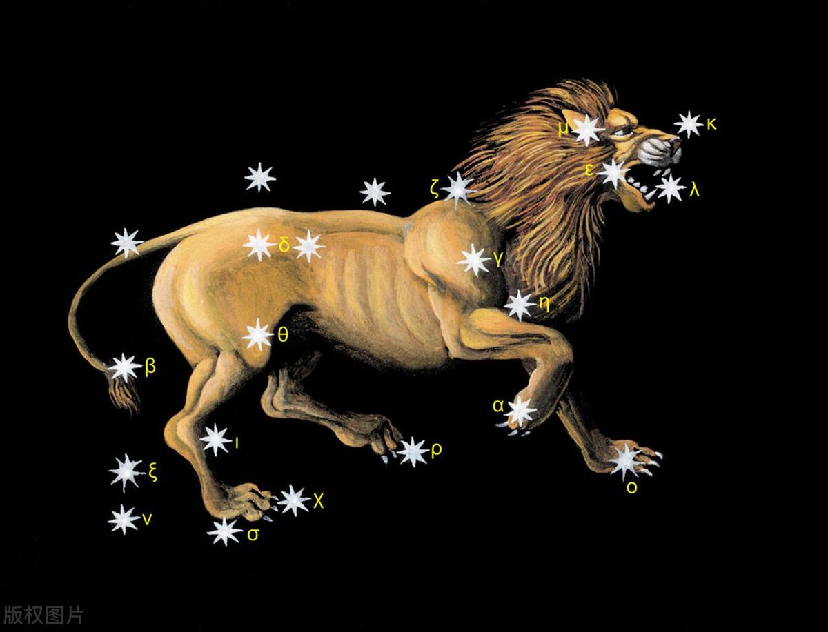 特别宠双子女的星座男,哪个星座最宠老婆