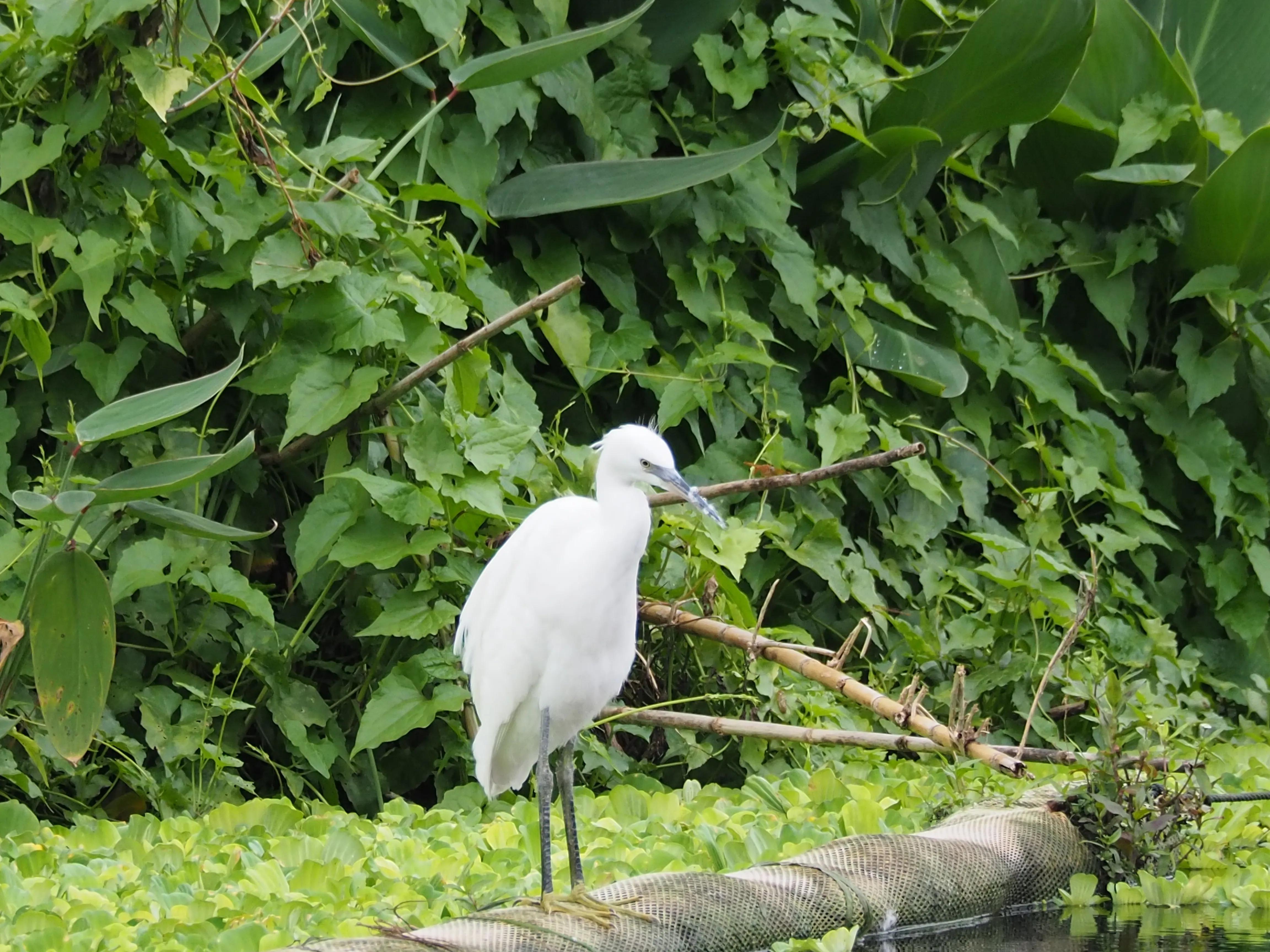 五一假期，O记实录