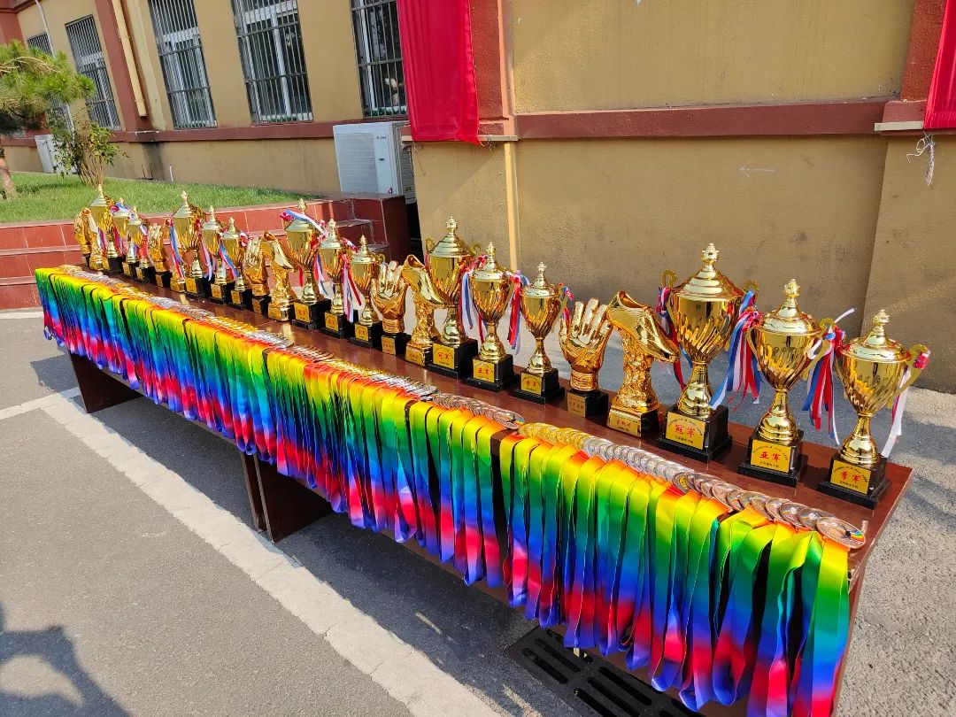 阜南第十七小学足球比赛,阜南县地城镇中心小学足球比赛