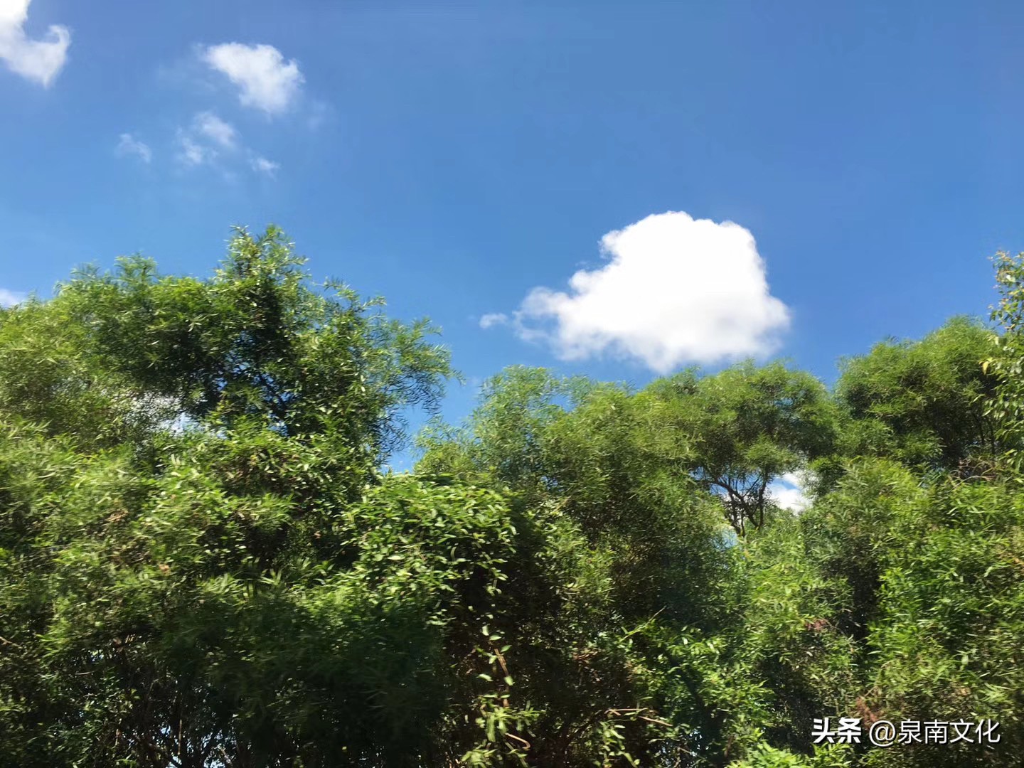 泉州涂门街简介,泉州涂门街位置在哪