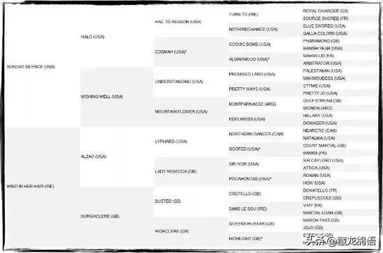信鸽返祖遗传出一根白条,信鸽返祖现象主要表现