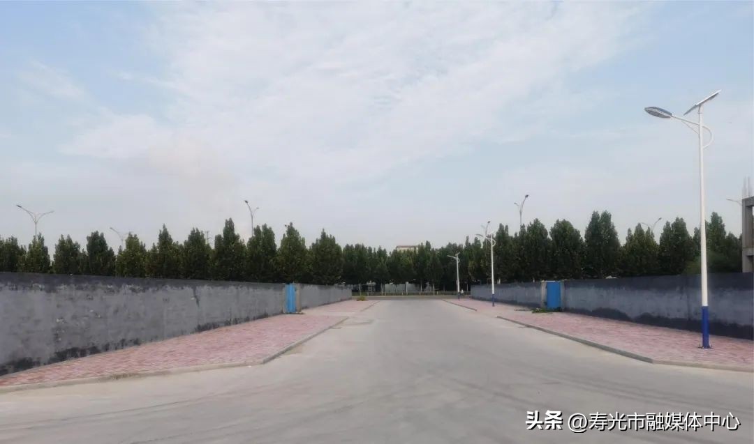 寿光大棚致富项目,寿光新农业项目