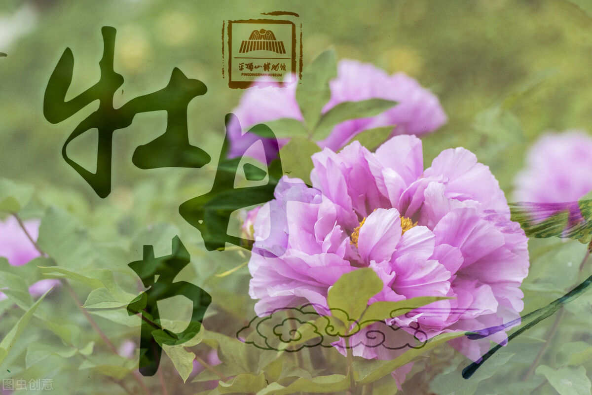 郭进拴｜大美的湖畔明珠