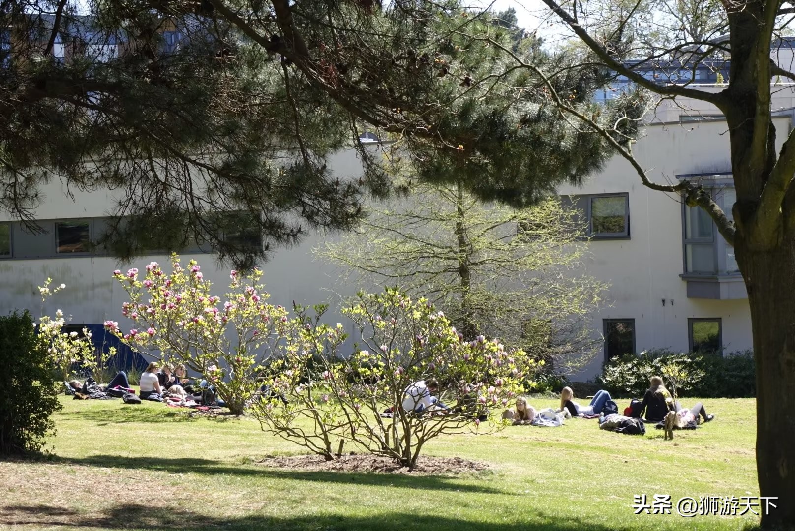 英国本科陪读,英国陪读住宿