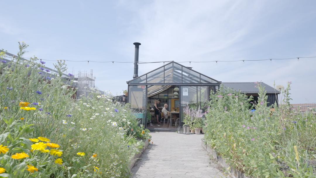 丹麦人的生活方式视频,丹麦人的节俭生活