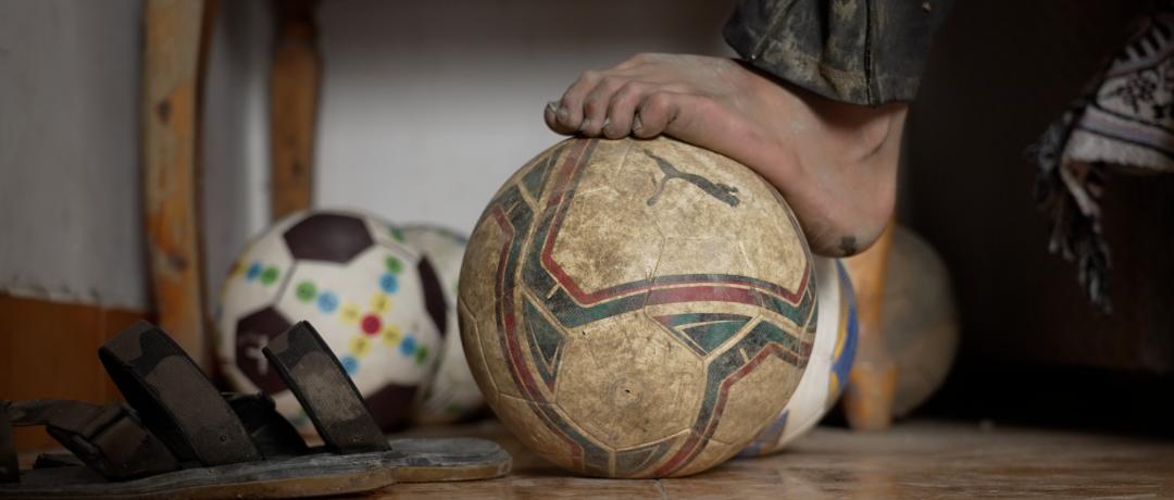 我要把拉马拍成阿甘