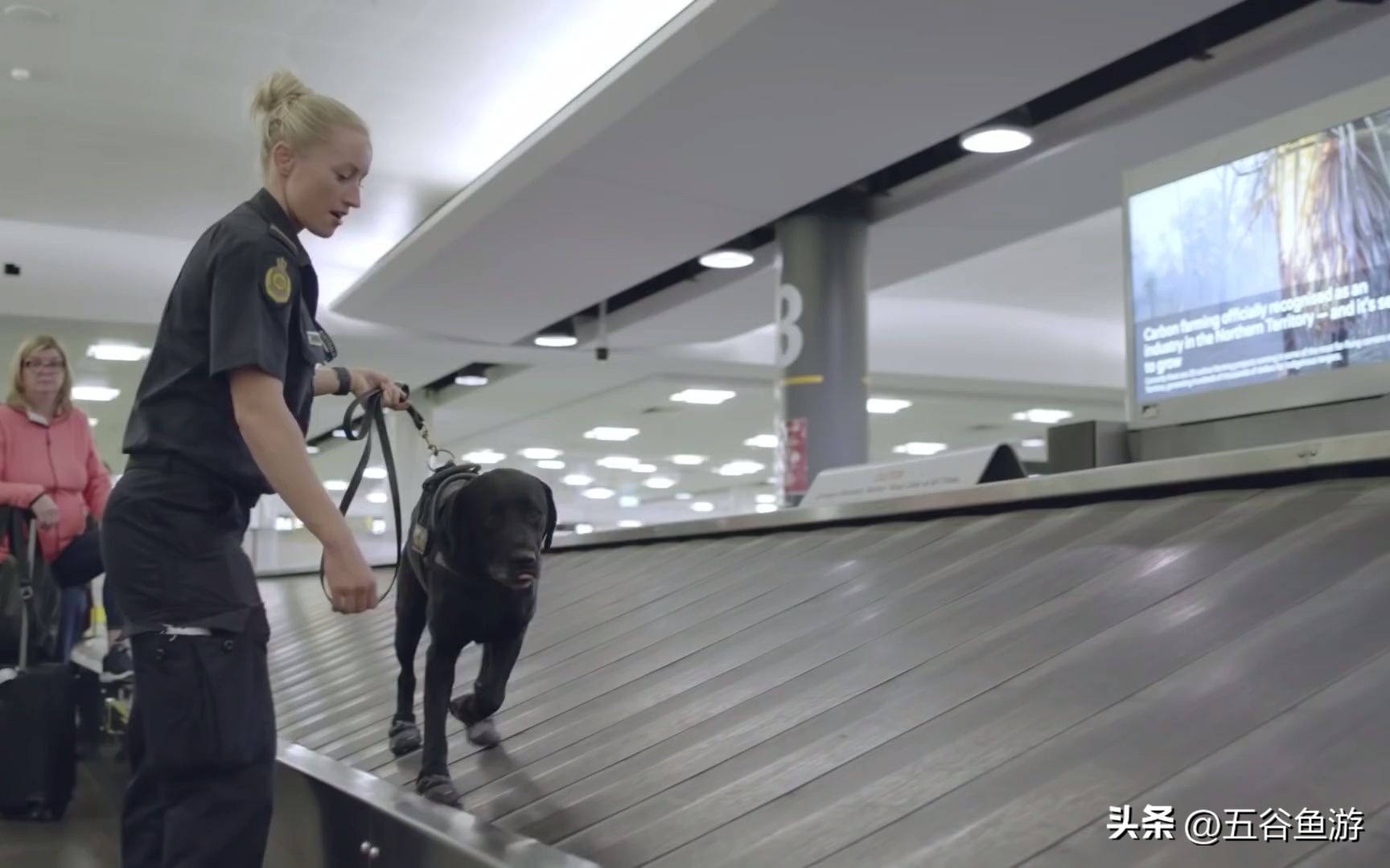 去澳洲不能带什么入境,澳洲入境哪些食品不能带