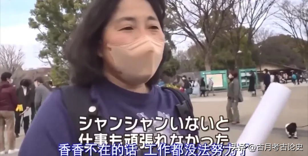 旅日大熊猫回国日本人反应,四只旅日大熊猫陆续归国