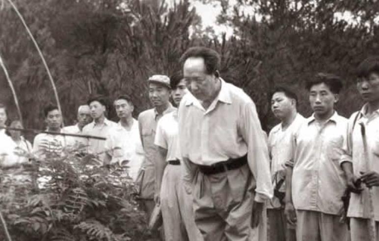 1959年，毛主席站在父母破旧的坟前：别修了，我走了，给我种土