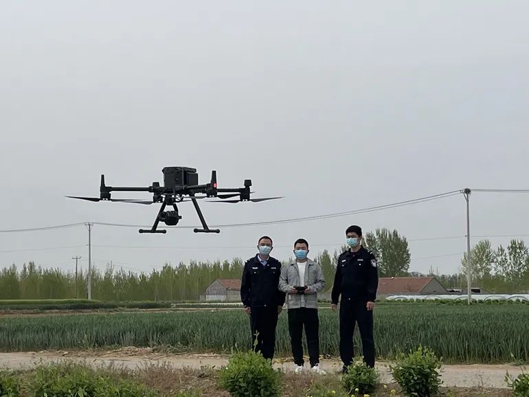 信偏方，当菜吃？临沂警方告诉你：违法，一株也不行！