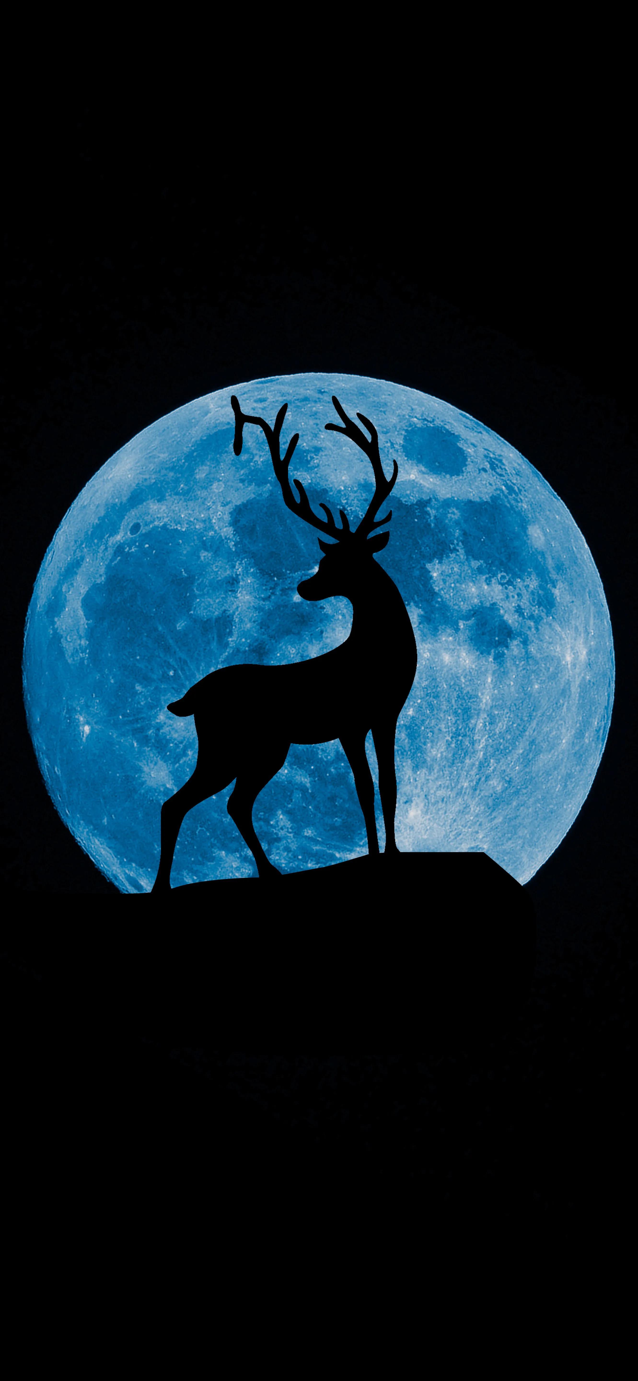 黑色系壁纸高级冷淡风,男士专用黑色壁纸高级