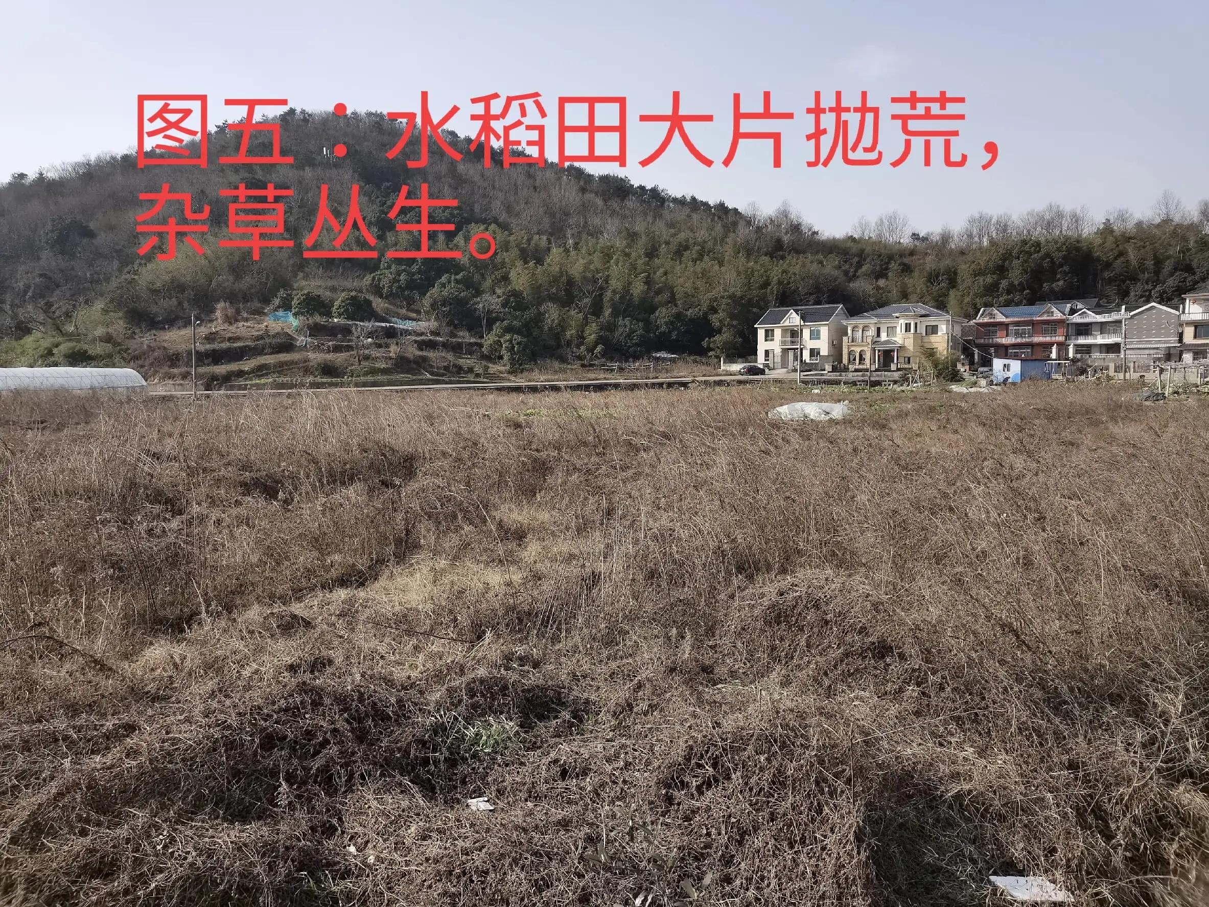 农民拿什么拯救自己的生活,农民的生活靠自己