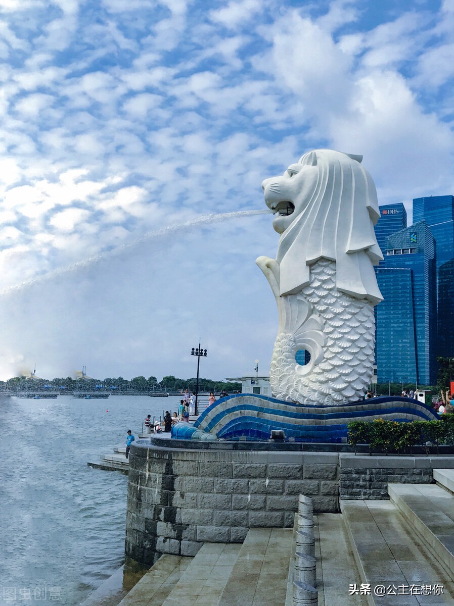 新加坡7个冷知识英文,世界上养猫最多的国家