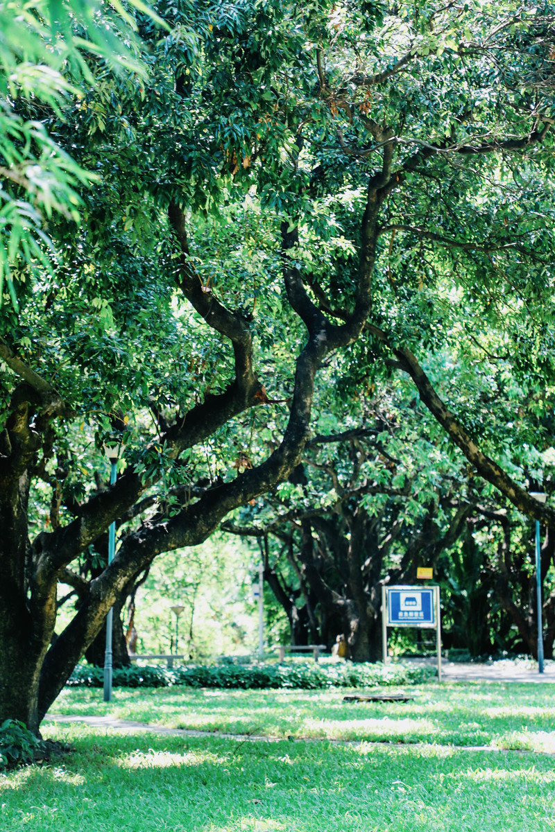 深圳ENJOY｜城市漫游指南·蛇口