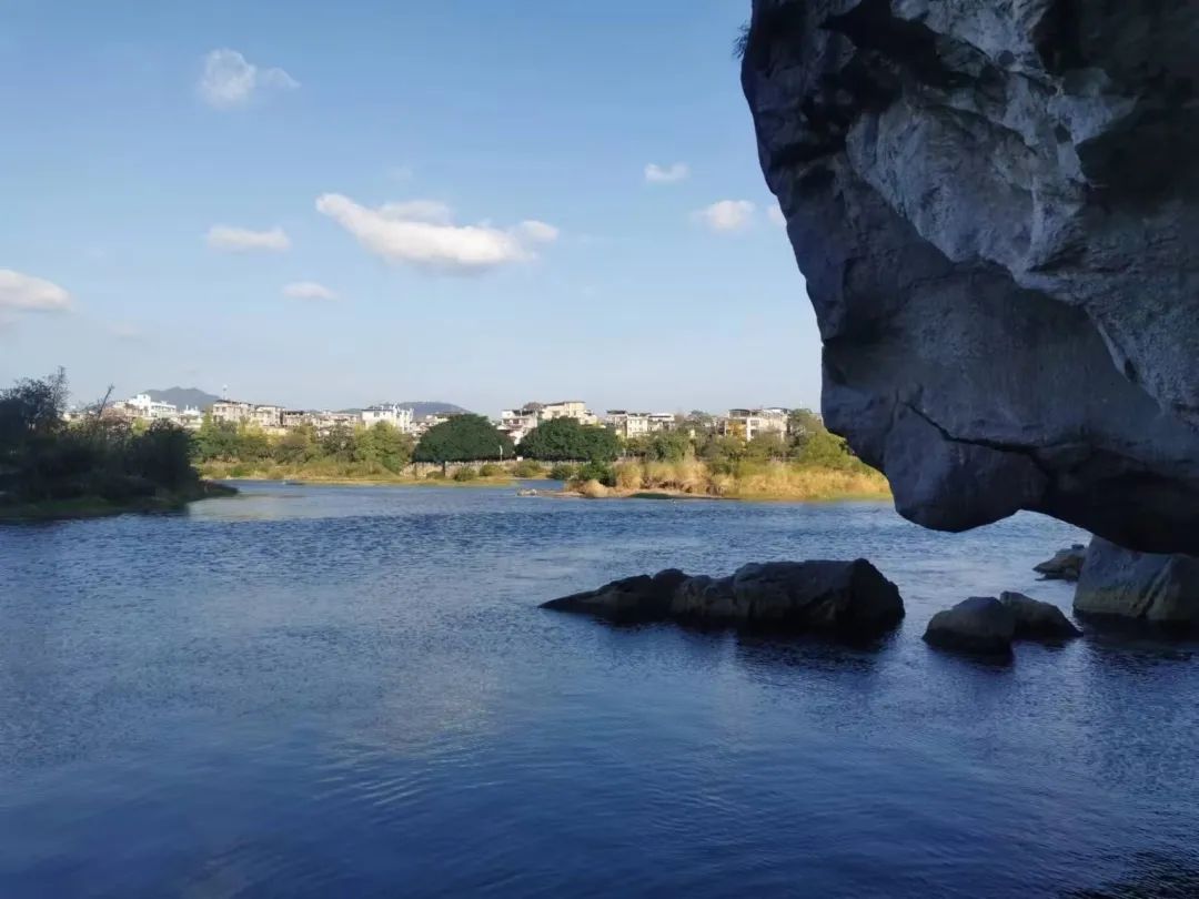 中国诗词大会陈曦骏人物素材,诗词大会第六季总冠军陈曦骏