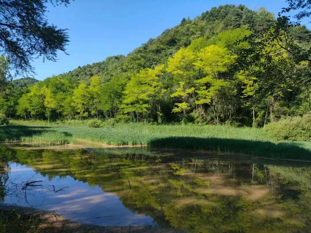 现在的灵台,灵台县就是姜子牙封神的灵台吗