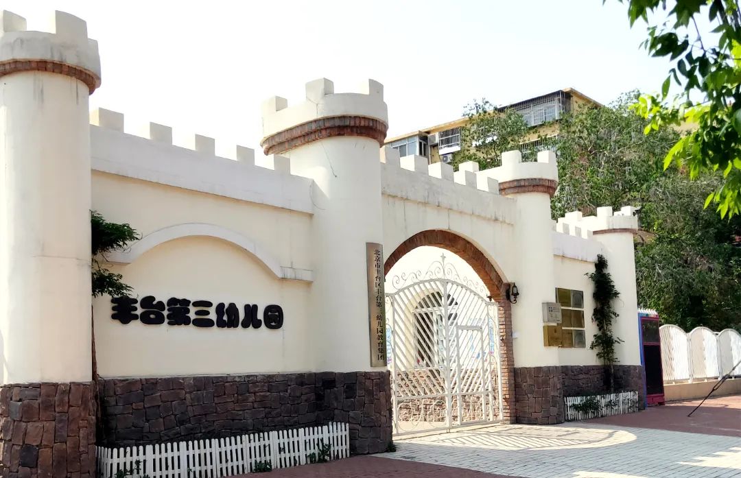 党建引领促发展强基固本,党建引领学前教育总结