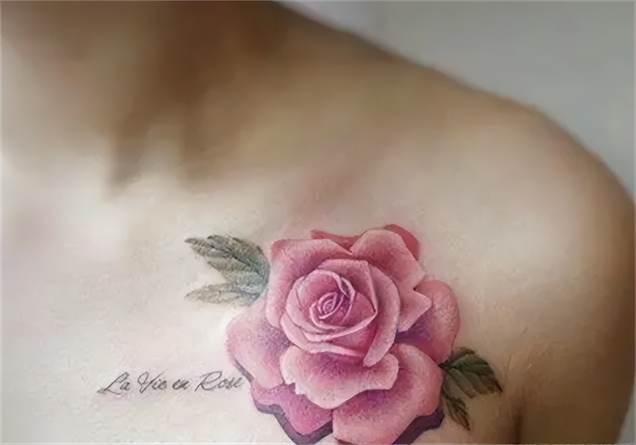 江边突现无名女尸下集,黄浦江边惊现无名女尸结局