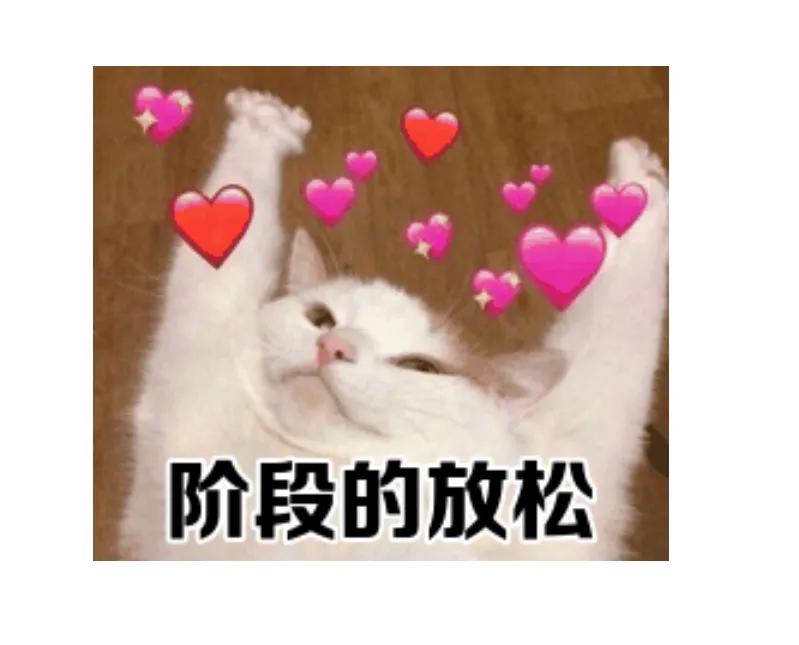 女生做程序员真实感受,什么样的女生适合做程序员