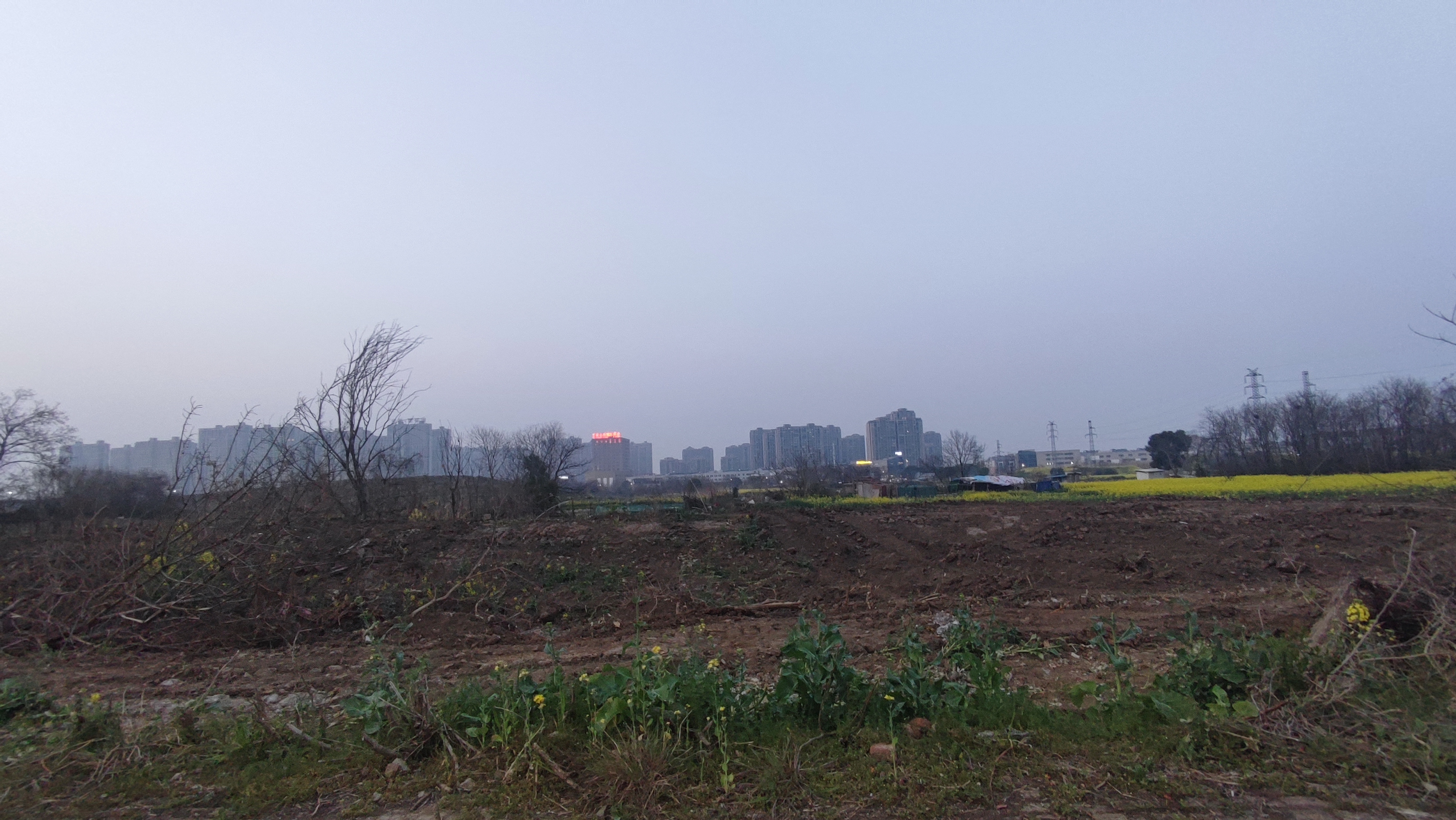 又是一年春来到处处美景,又是一年春来到图片