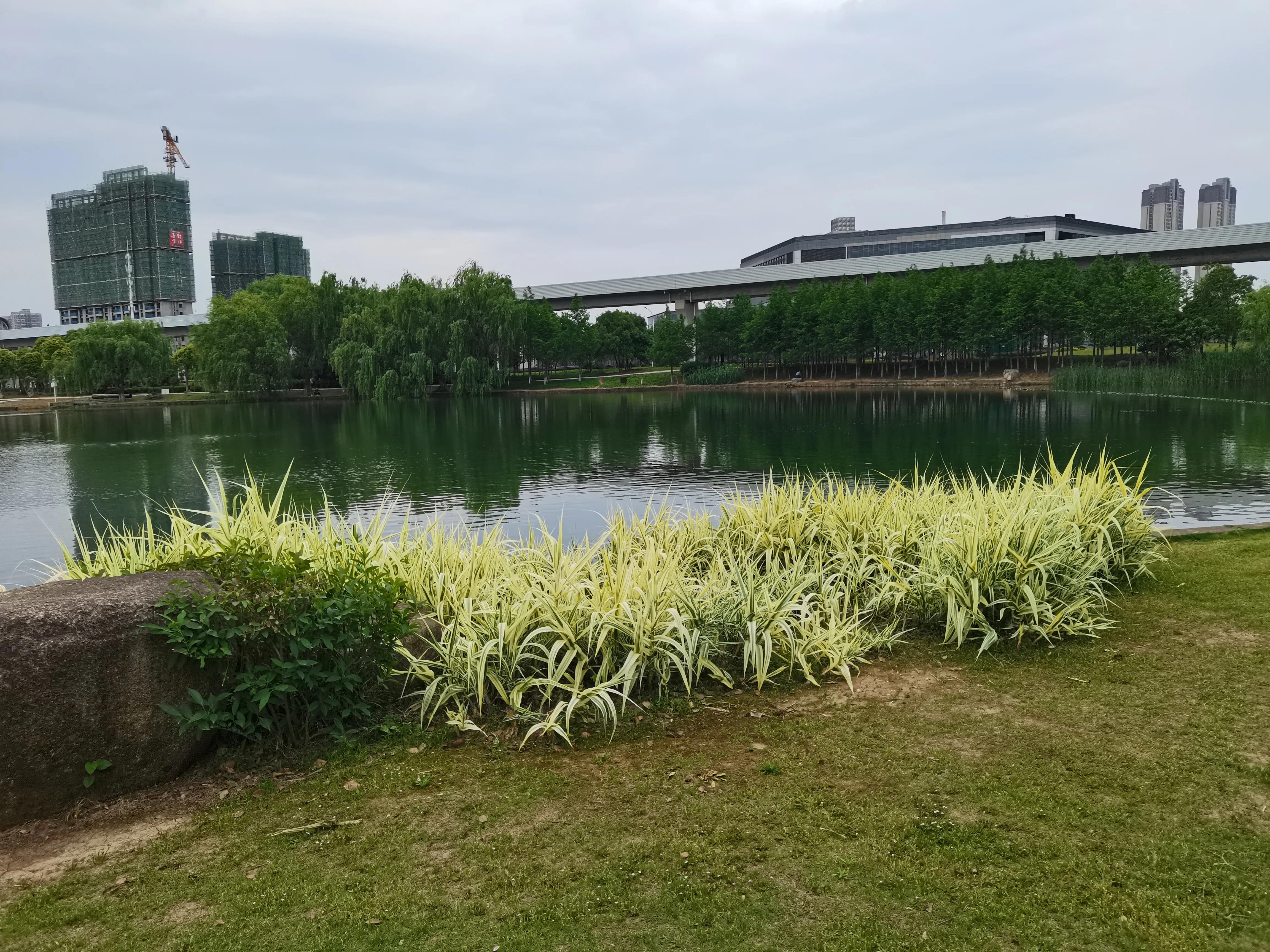 对幸福的理解文案,你对幸福的理解是什么意思