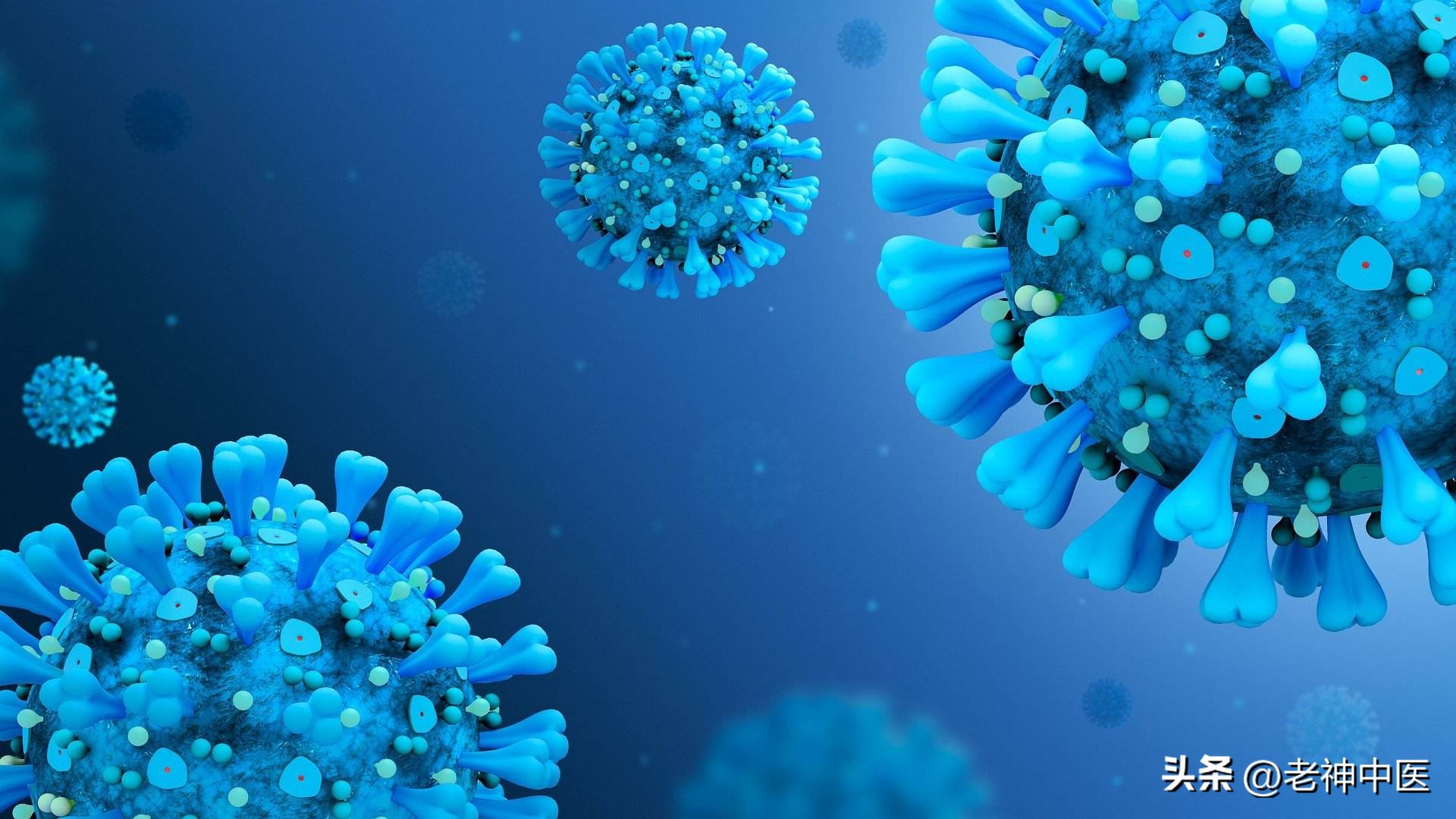 南方新冠肺炎特效药,治新冠是北柴胡还是南柴胡