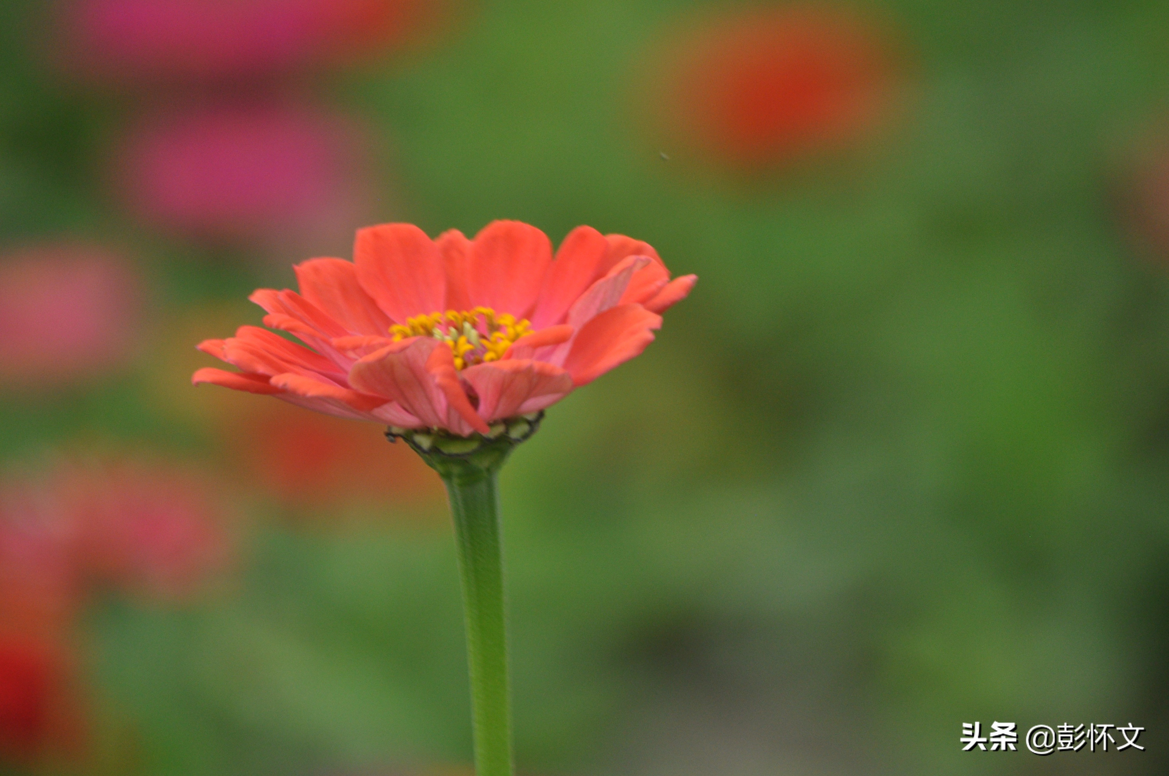 财税实务问题解读,财税问题解答9则