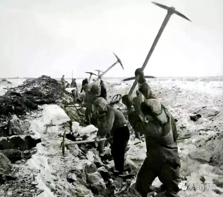 老知青讲北大荒艰苦生活的岁月,知青重返北大荒八五三农场