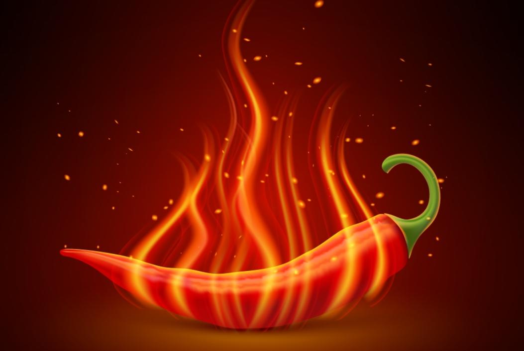 情绪不畅、饮食不节、久病劳累，可导致机体内热？如何正确调理？