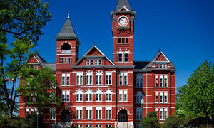 企业经营管理战略有哪些,企业运营战略包括几点