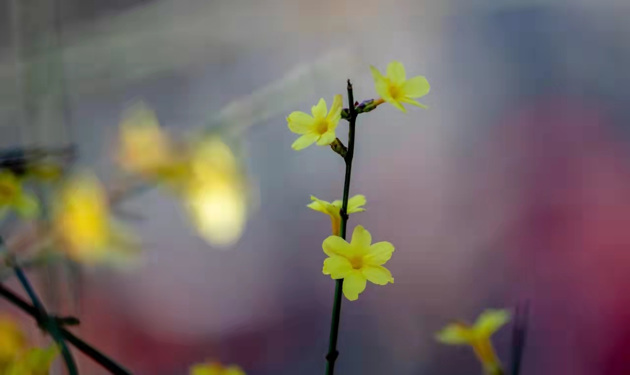 济南南部山区红叶谷旅游攻略,济南红叶谷自驾游最佳路线图