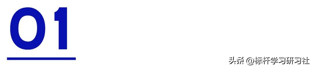 靠一辆玩具车，骗走300亿！扬言干掉马斯克的人，把自己送进监狱