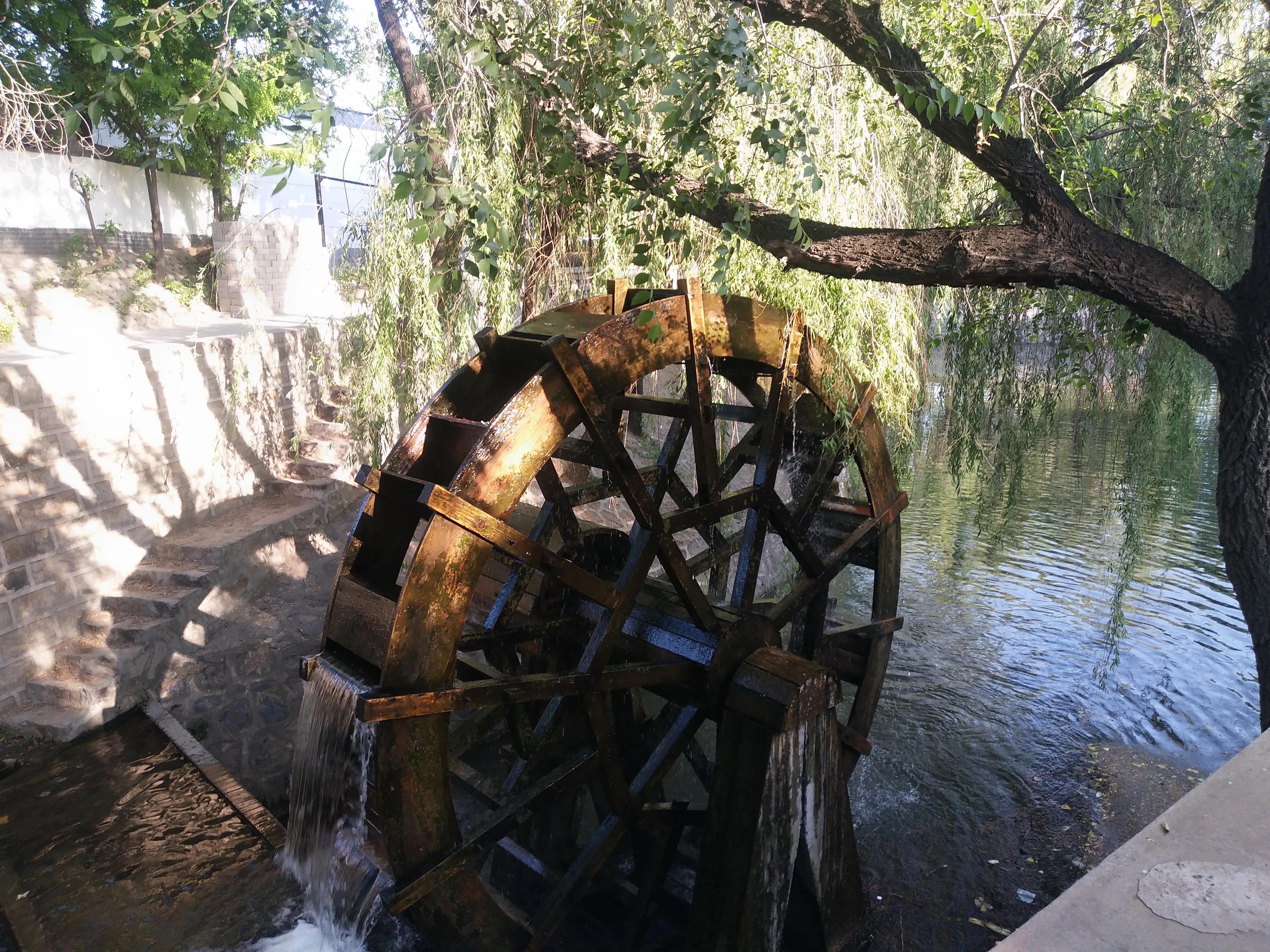 孕期的肚子的变化过程,孕期计算器