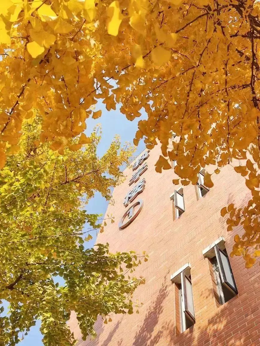 悄悄告诉你，来交大希望学院不能错过这站！