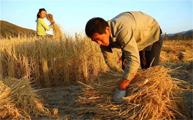 大姑姐问_今年你父母怎么没有寄家乡味给你？我说_没有以后也没有