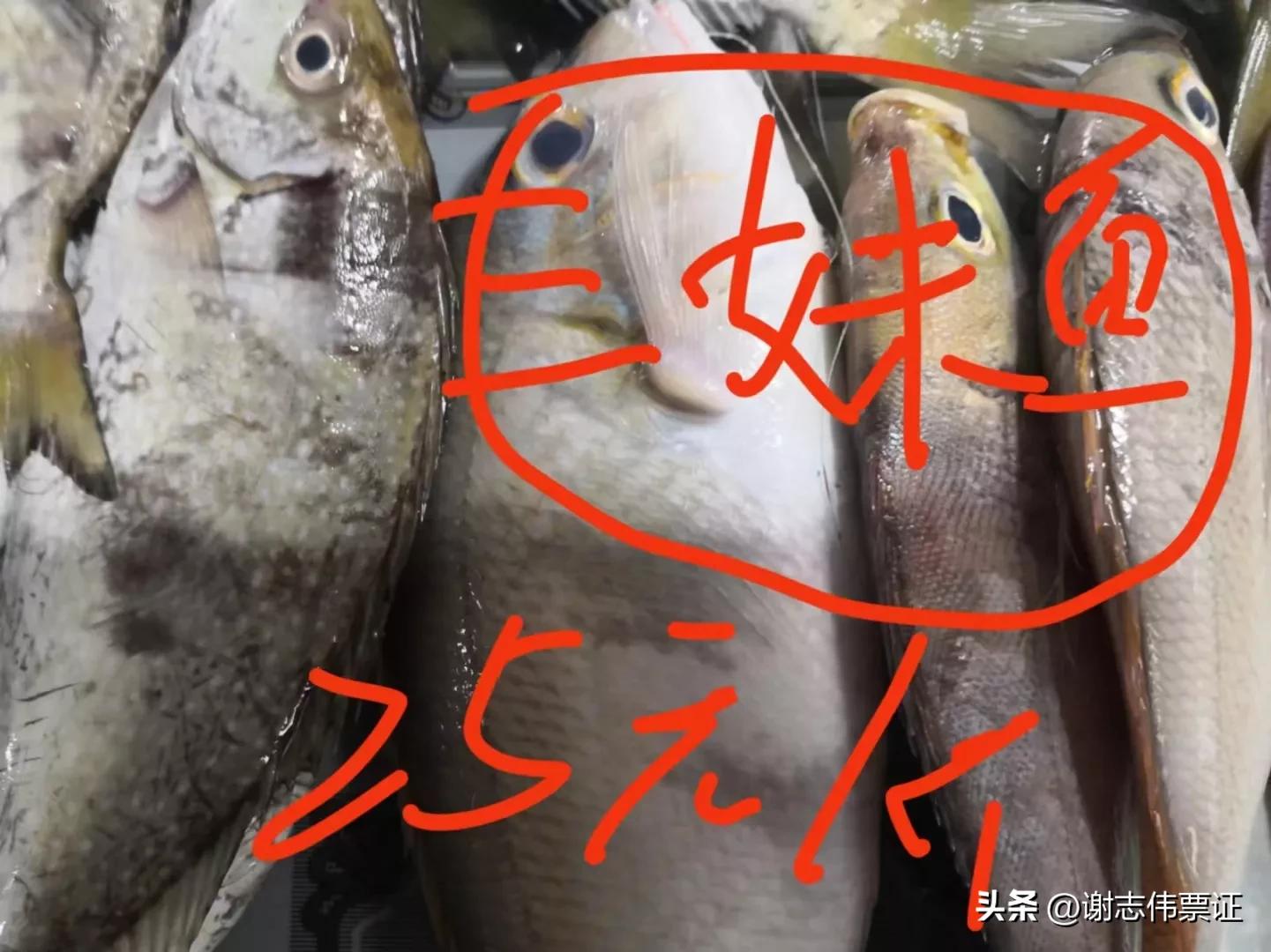 海南风情（015）上埇村海鱼价目知多少