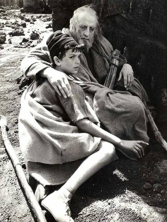 圣经电影创世时代,圣经中的意象及内涵