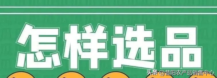 电商知识常识分享案例模板,电商知识100字