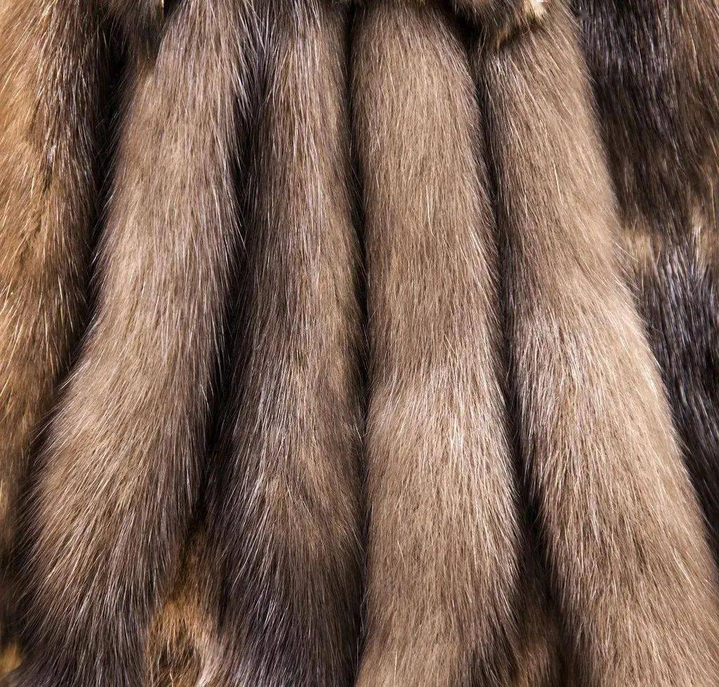 17世纪欧洲商贸,17世纪的欧洲进入什么时代