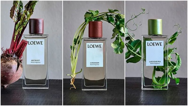 特写|“蔬菜香”为何在高端香水界大行其道?