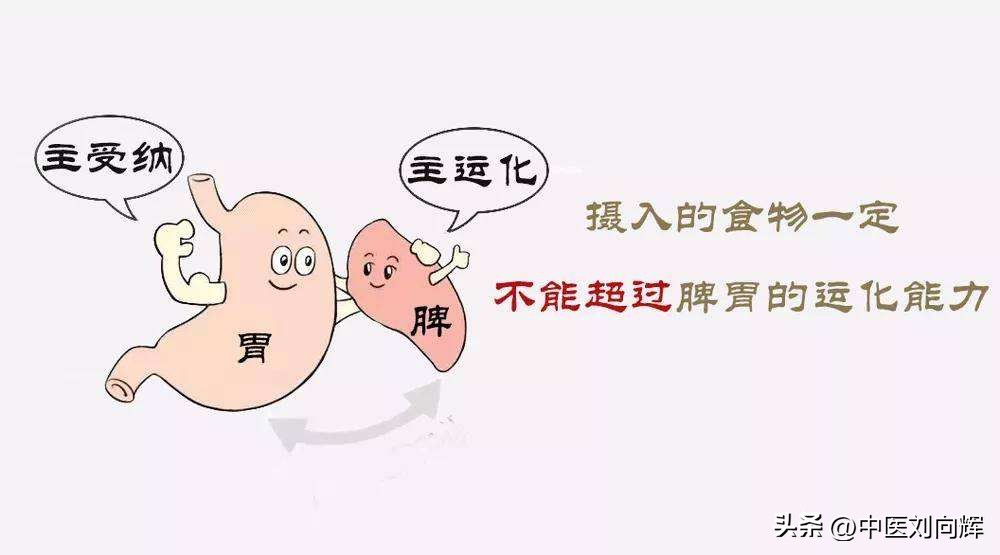 脂肪肝用哪种疏肝健脾药,脂肪肝配合什么药物