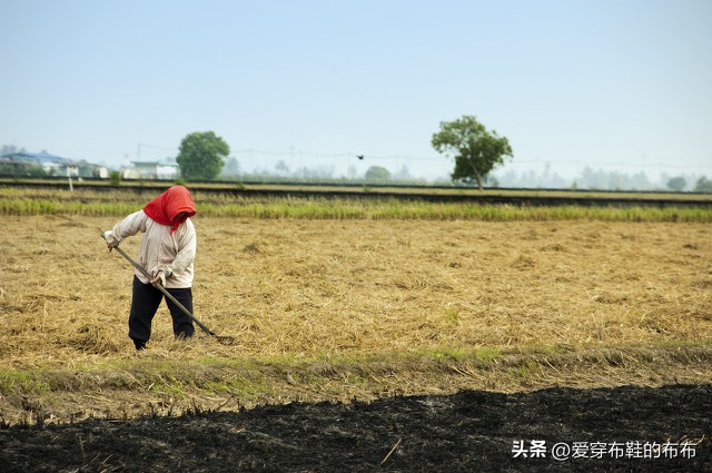土地私有制是现代国家的基础,土地私有制和公有制
