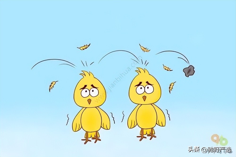 nba联赛纪录片,nba纪实连载115