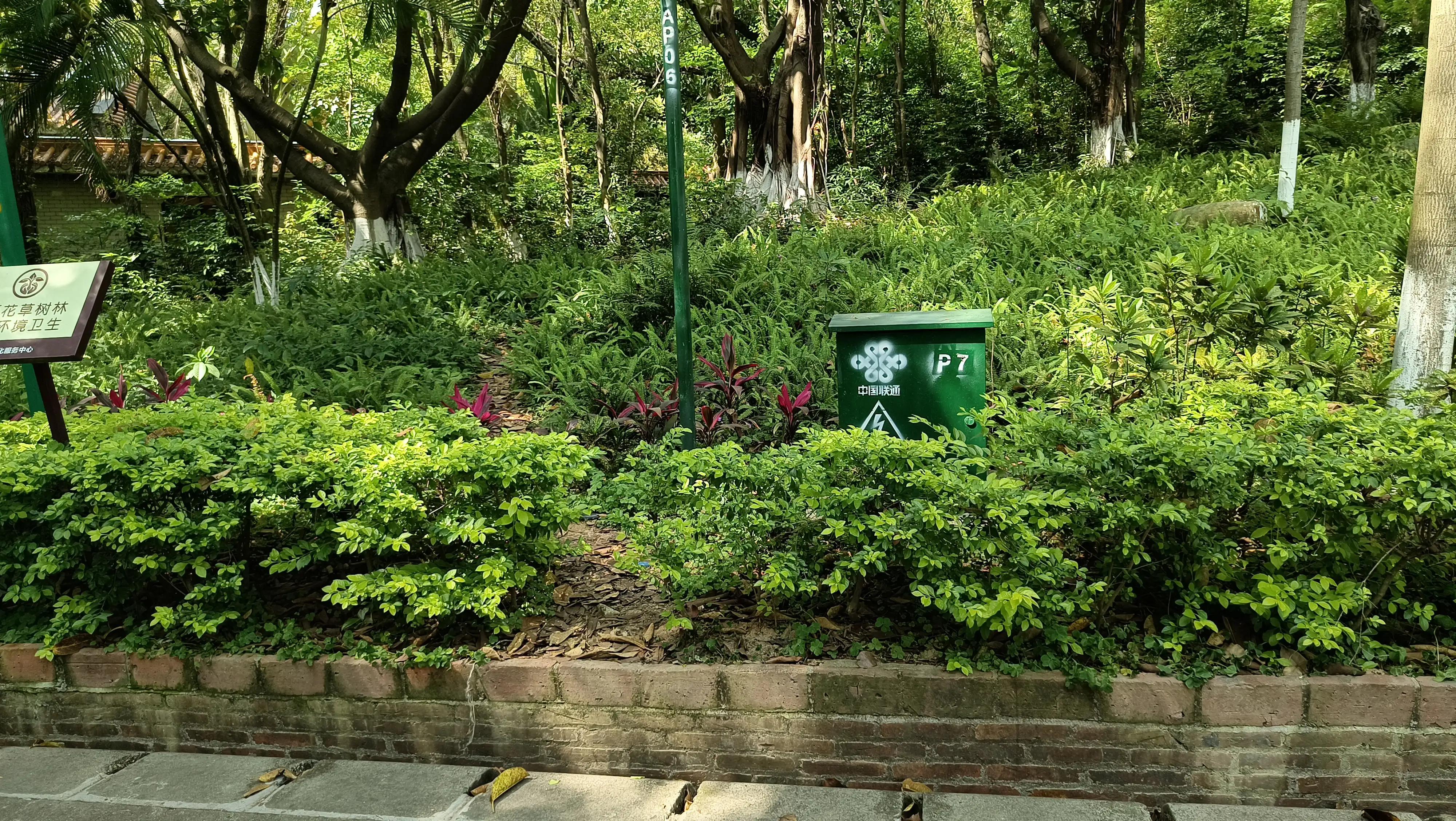 日语作文我的爱好,日语作文我的兴趣爱好七年级