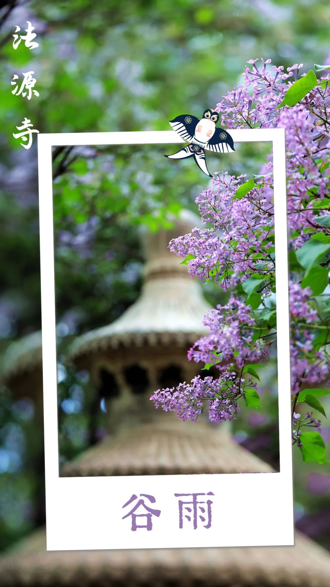 鏄ユ湯澶忓垵闆ㄧ敓鐧捐胺,璋烽洦鏄ユ湯澶忓垵闆ㄧ敓鐧捐胺