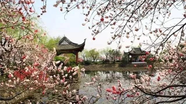 折柳送别古诗词,古诗词送别朗诵